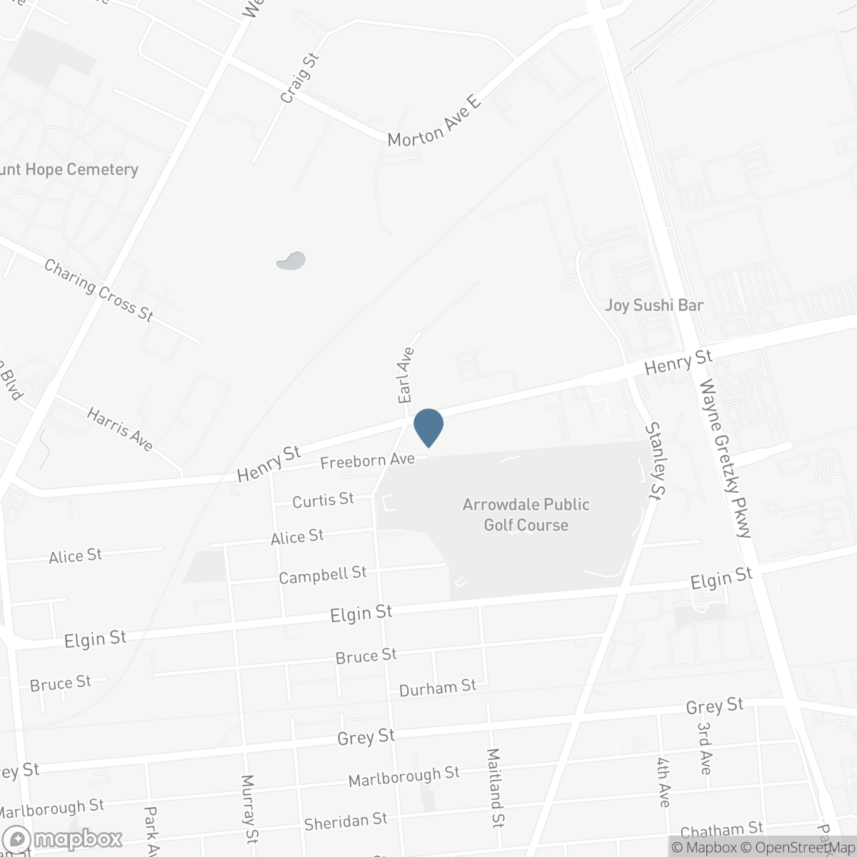 120 HENRY STREET, Brantford, Ontario N3S 5C7